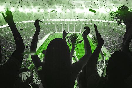 What football fans think about the professional game